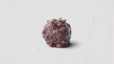 Hazelnut Bliss Balls