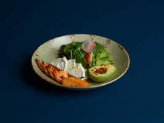 Salmon and Shrimps