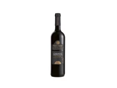 Cabernet Trevenezie Bottega 