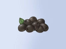 Marinated Olives