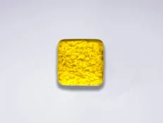 Salcë Mango