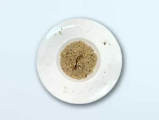 Rizoto Tartuf Porcini