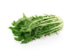 Cikore (1 kg)