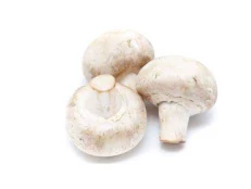 Kerpudha agaricus (1 kg)
