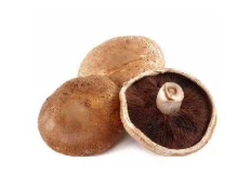 Kerpudhe portobello (1 kg)