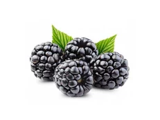 Manaferre e eger(500g)