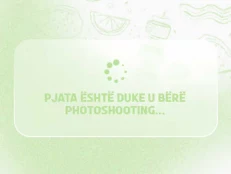 Berxolle Viçi + Shoqëruese