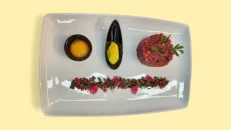 Tartar Vici