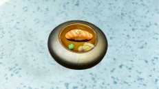 Nigiri Salmon 