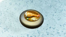 Nigiri Shrimp