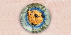 Risotto Fruta Deti