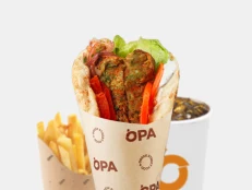 Falafel Pita Combo