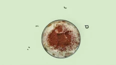 Tiramisu me Kafe