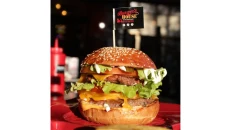 House Kat-Kat Cheeseburger Viçi