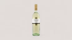 Pinot Grigio