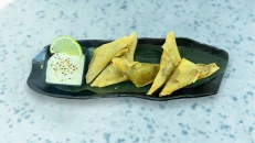 Wonton Duck
