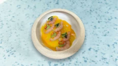 Red Shrimp Crudo
