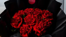 Mini Love
