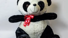 Arush Panda