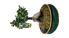 Bonsai Me Vazo Qeramike te kuqe