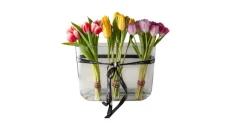 Tulip'S Kiss