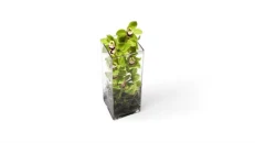 Orchid Tower