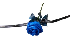Trëndafil Blu