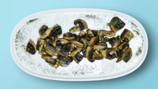Mushrooms Today