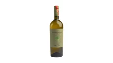 Chardonnay Friuli