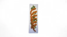 Tempura Karkaleci