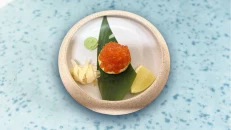 Icura Sashimi