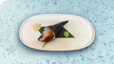 Temaki Eel