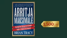 Arritje maksimale