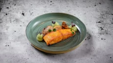 Salmon