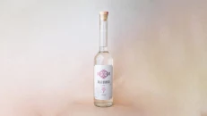 Raki Rrushi