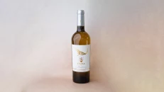 Chardonnay