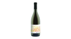 Souvignier Gris Bresolin