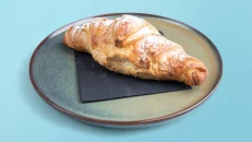 Briosh