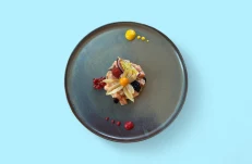 Tartar Salmoni