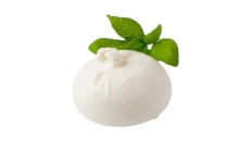 Burrata
