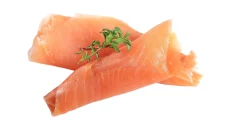 Salmon