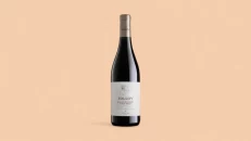 Tolloy Pinot Nero