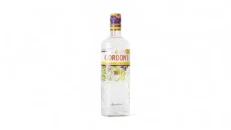 Gordons