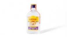 Mini Gordons Gin