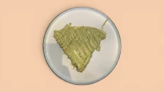 Keep Pistachio