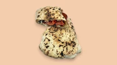 Sanduic pikant