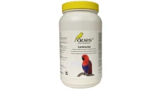 Aves Lori Nectar