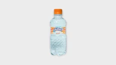 Tepelena Active