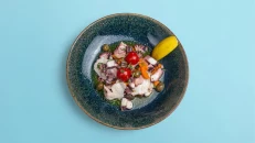 Oktapod i Marinuar