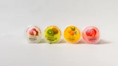 Multi-Flavor Pudding